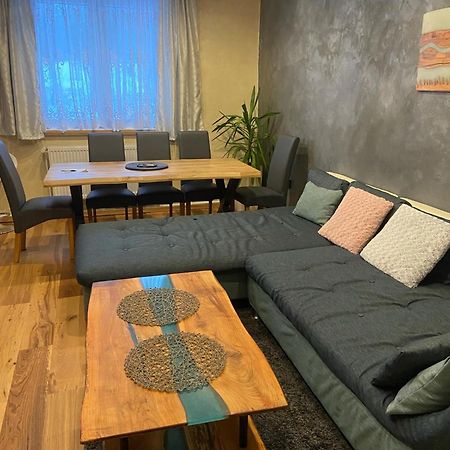 Apartman Orlicke Hory Orlicke Zahori Eksteriør billede