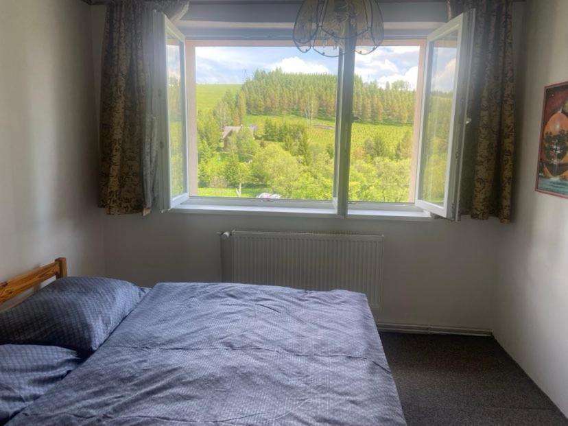 Apartman Orlicke Hory Orlicke Zahori Eksteriør billede